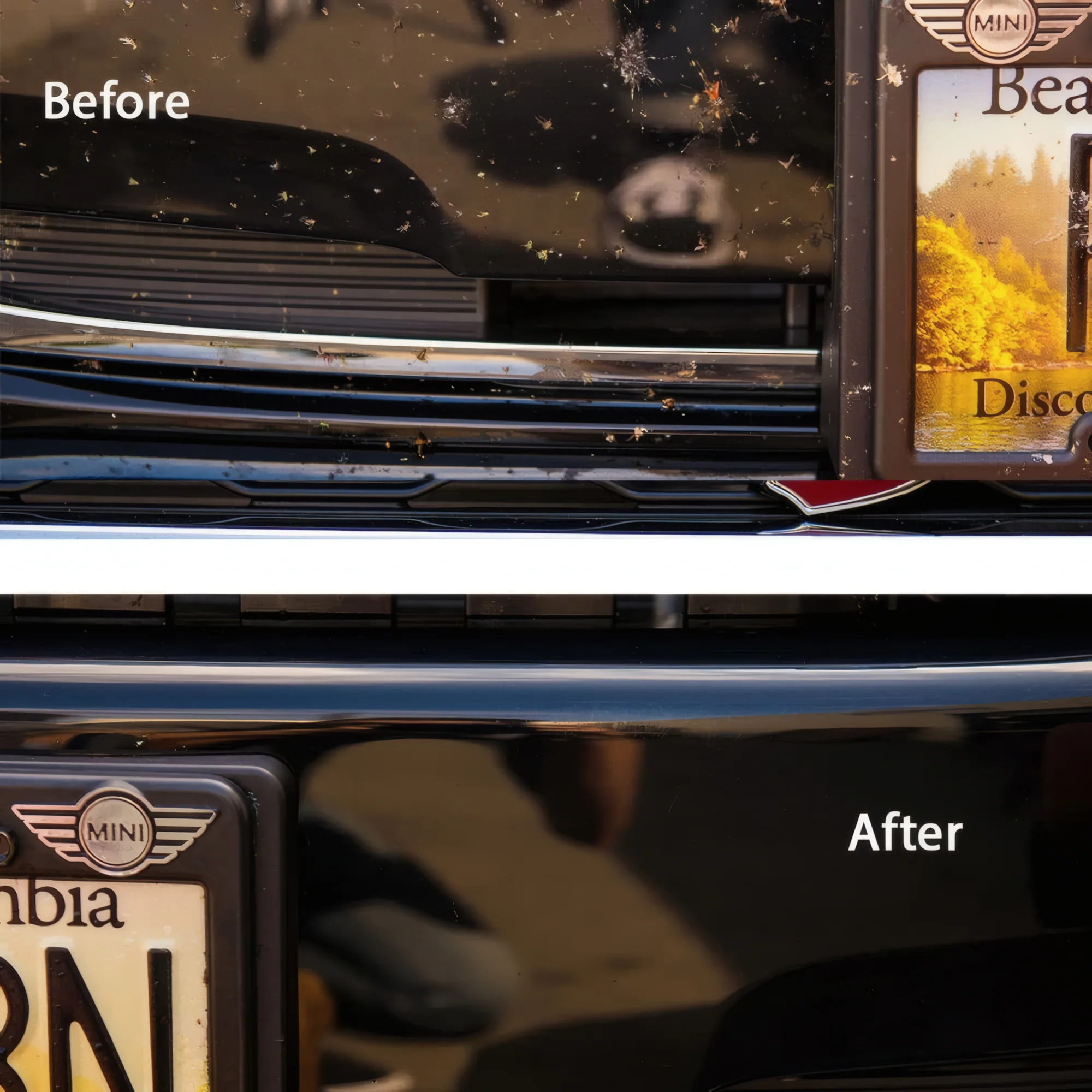 Bug & Tar Remover - Image 7