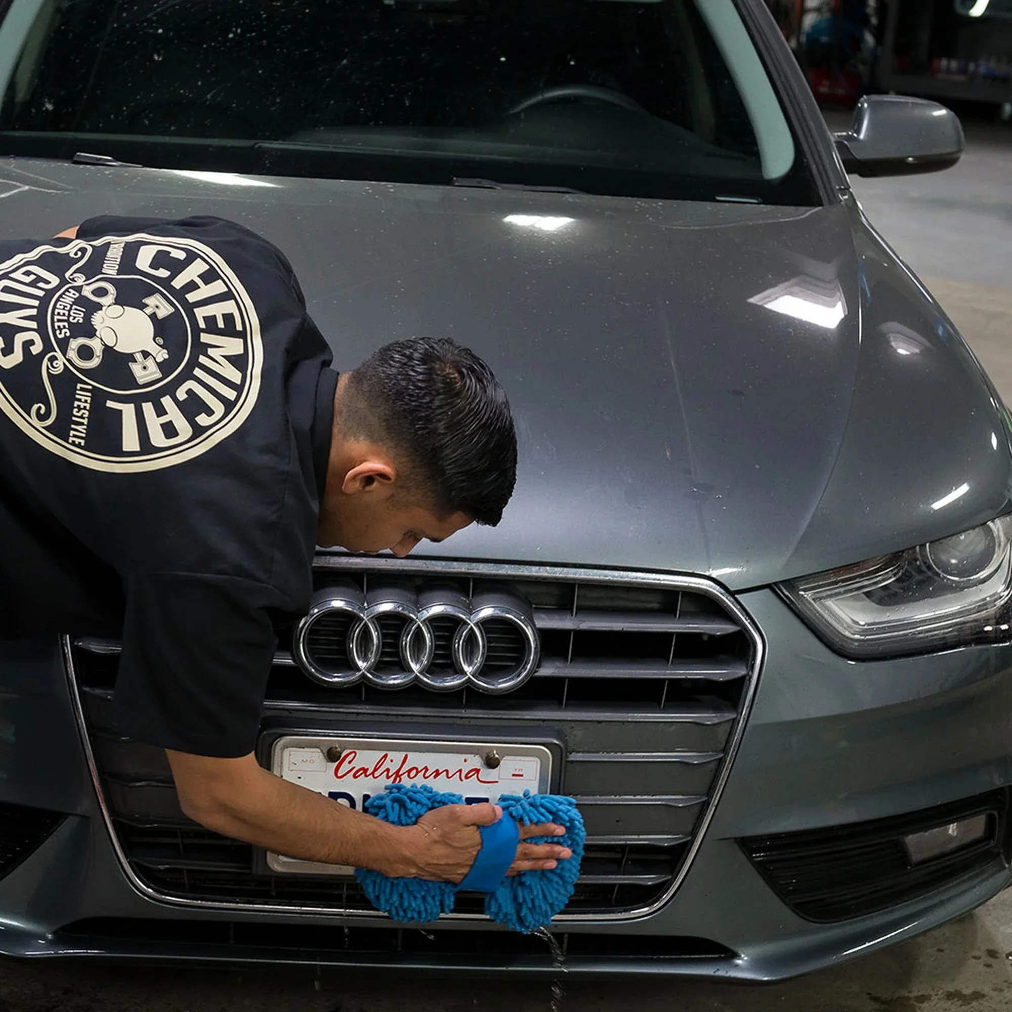 Bug & Tar Remover - Image 9